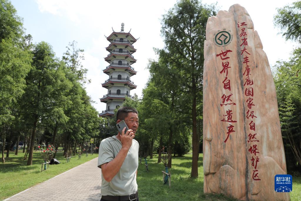 大赢家足球即时比
